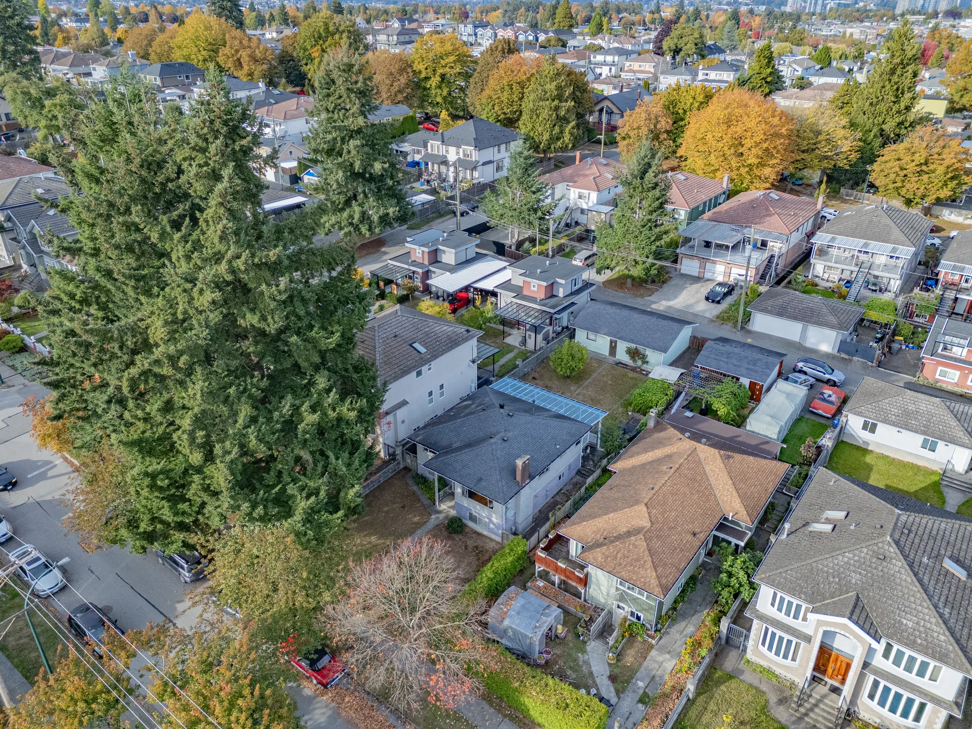 A lower view over the houses on the block, tall evergreens and the lane