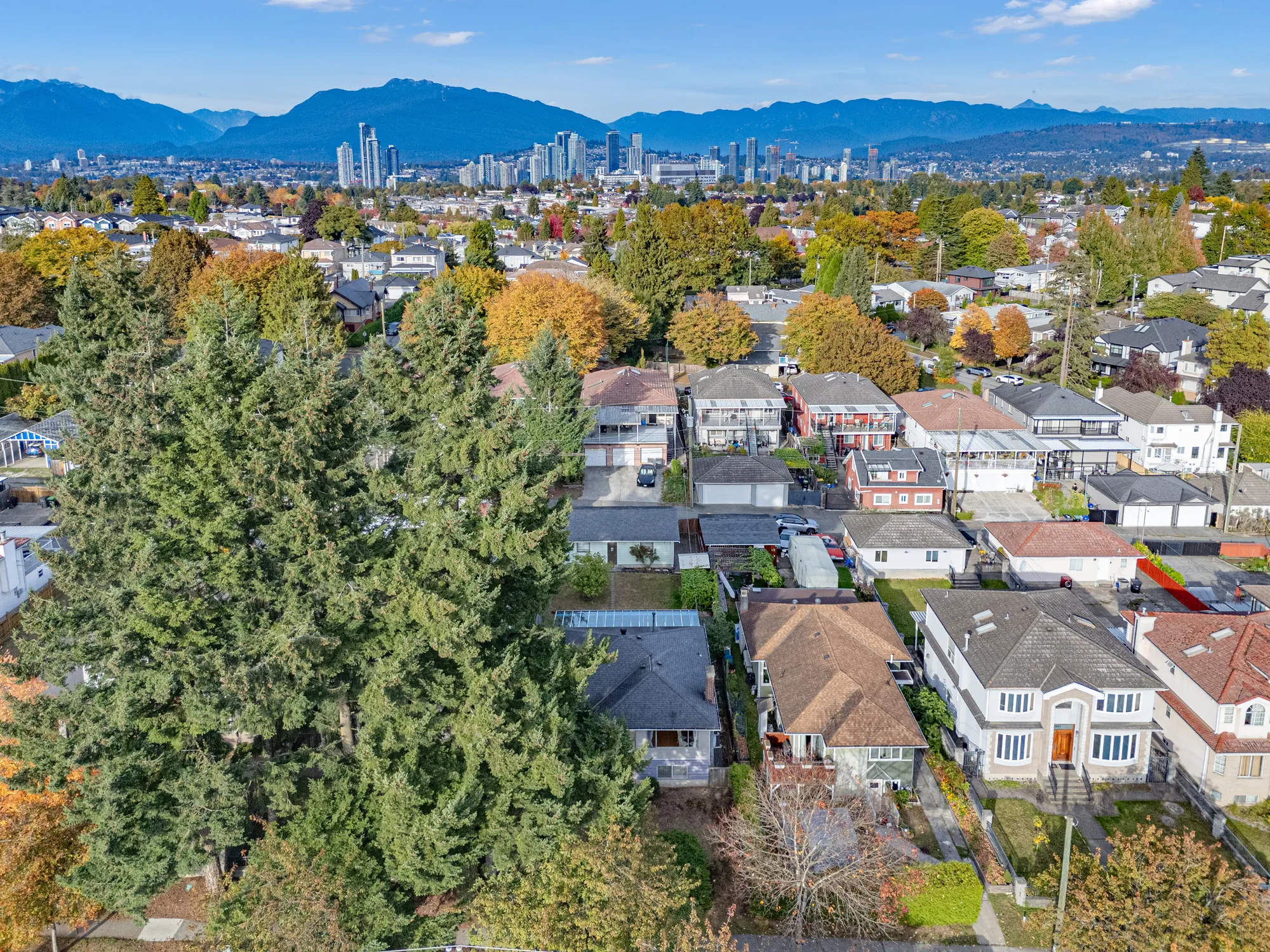 Over a row of tall evergreens toward the neighbourhood and the mountains