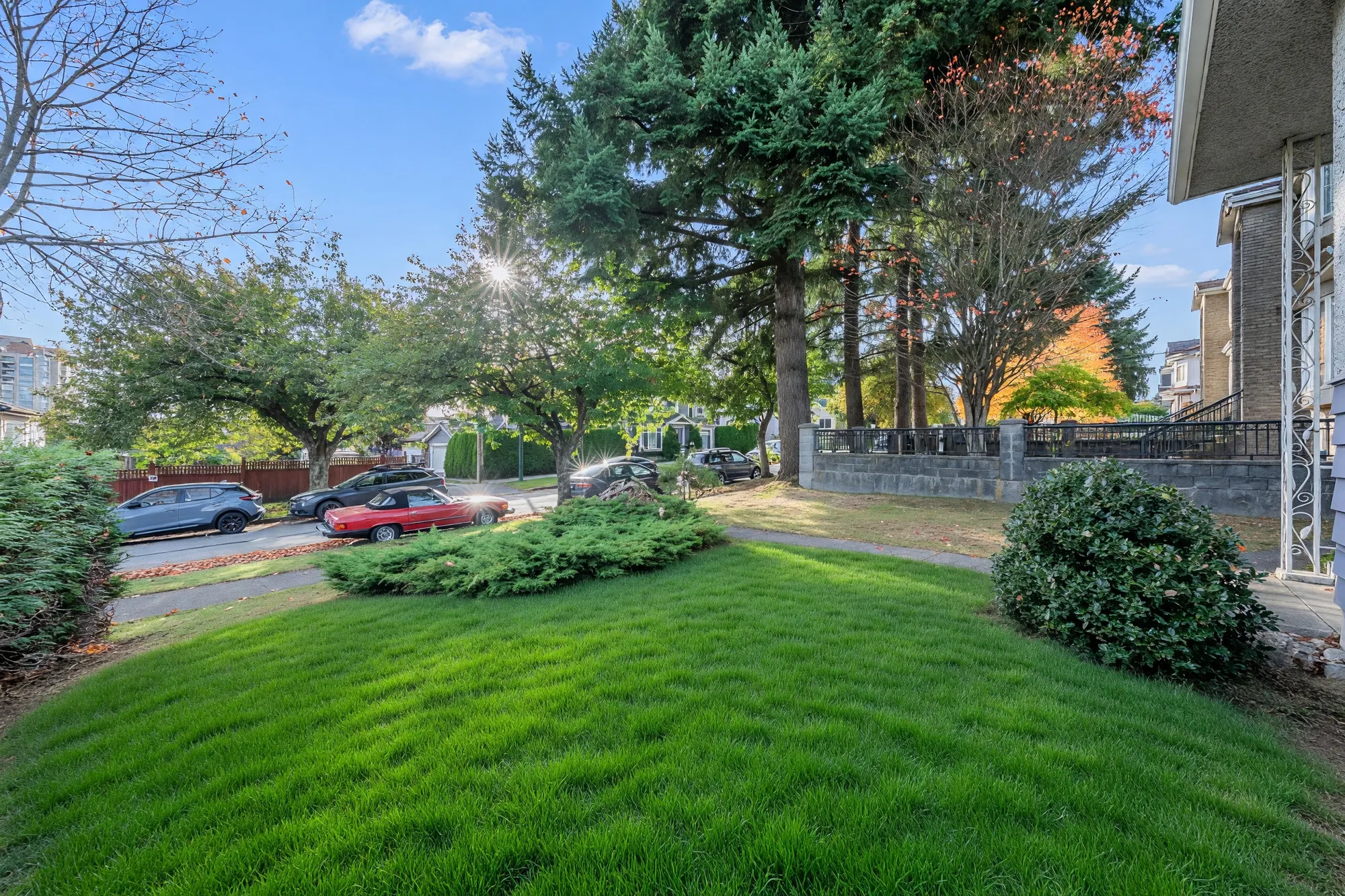 From beside the house across the front lawn to the street: a spreading juniper and a round shrub, tall firs, cars parked along the street