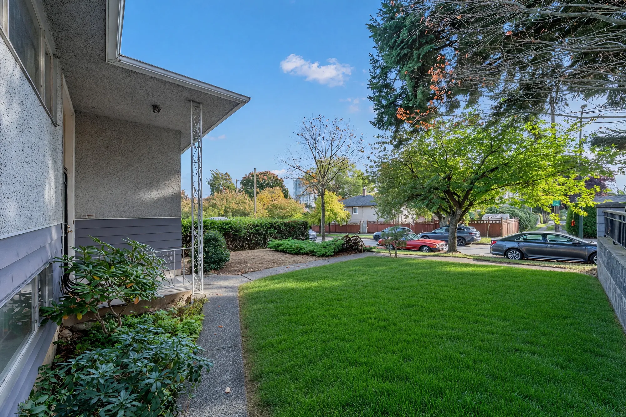 Along the side of the house: a concrete path past shrubs to the street, a tree in autumn colour, cars at the curb